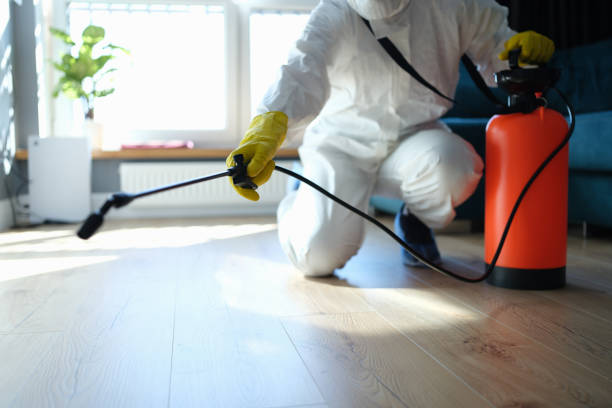 Trusted Sewage Cleanup service in Sadieville, KY - Four Month Blood Cleanse